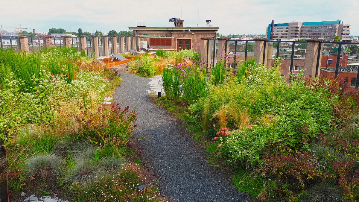 NationalASLA's tweet image. Wavin’s AquaCell supports nature-based solutions for livable cities. From tree tanks to sub-surface retention and blue-green roofs, Wavin offers innovative solutions for managing excessive rainfall. Check out their work in Fast Company. bit.ly/4fa0lKg #PartnerContent