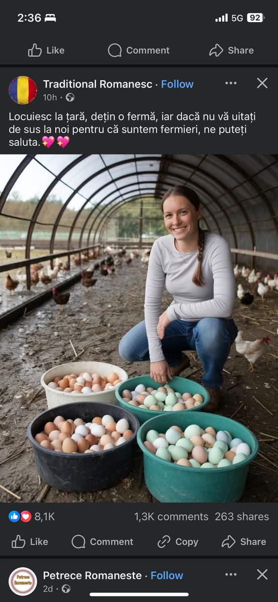 Sebastian Pandelache tweet media