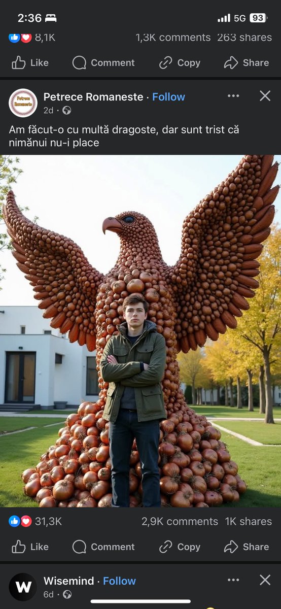 Sebastian Pandelache tweet media