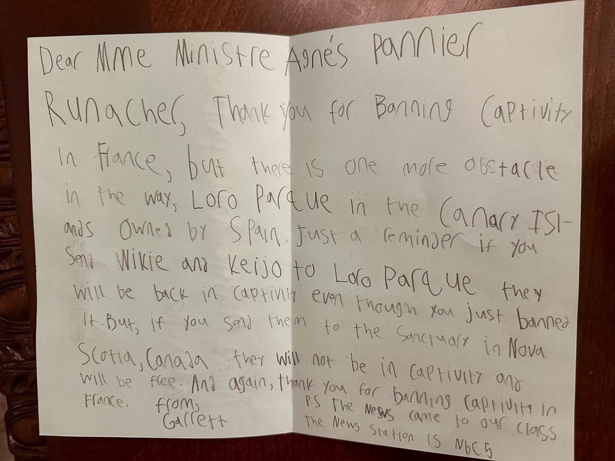 Rachel Friend tweet media