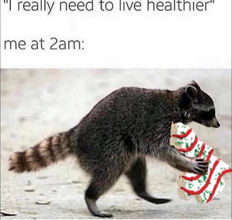 why are they so good