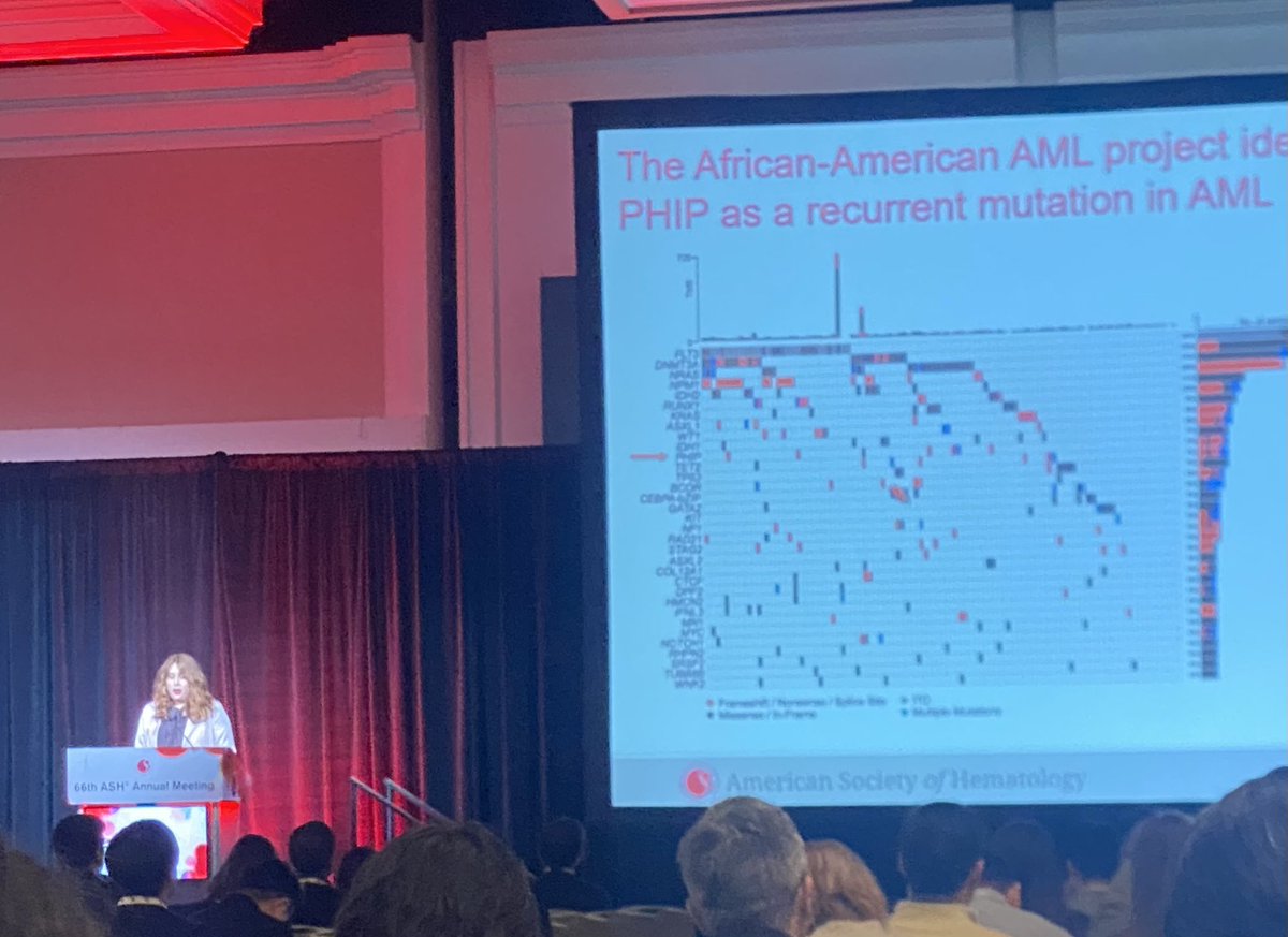 Monica Guzman (@drmonicaguzman) on Twitter photo Bailee Kain presented on their elegant approach to understand the function of PHIP mutations identified in AML patients of African Ancestry. <a href="/LeeGrimesLab/">Lee Grimes Lab</a> <a href="/AkEisfeld/">AK Eisfeld</a> congratulations on the outstanding work! #ASH24 Bailee Kain presented on their elegant approach to understand the function of PHIP mutations identified in AML patients of African Ancestry. <a href="/LeeGrimesLab/">Lee Grimes Lab</a> <a href="/AkEisfeld/">AK Eisfeld</a> congratulations on the outstanding work! #ASH24