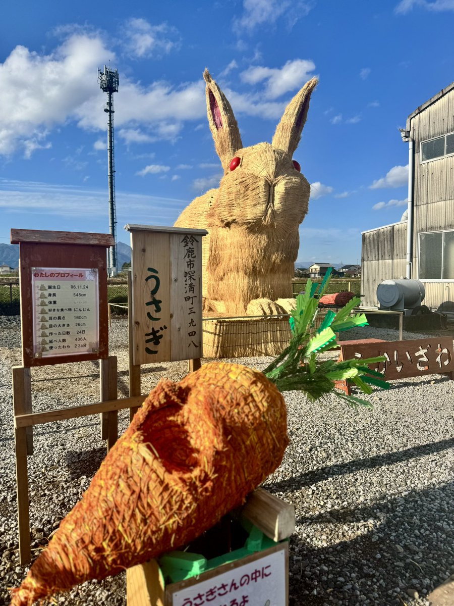 今年で5年目‼︎ 深伊沢地域づくり協議会の方々が、稲わらを使って作っ