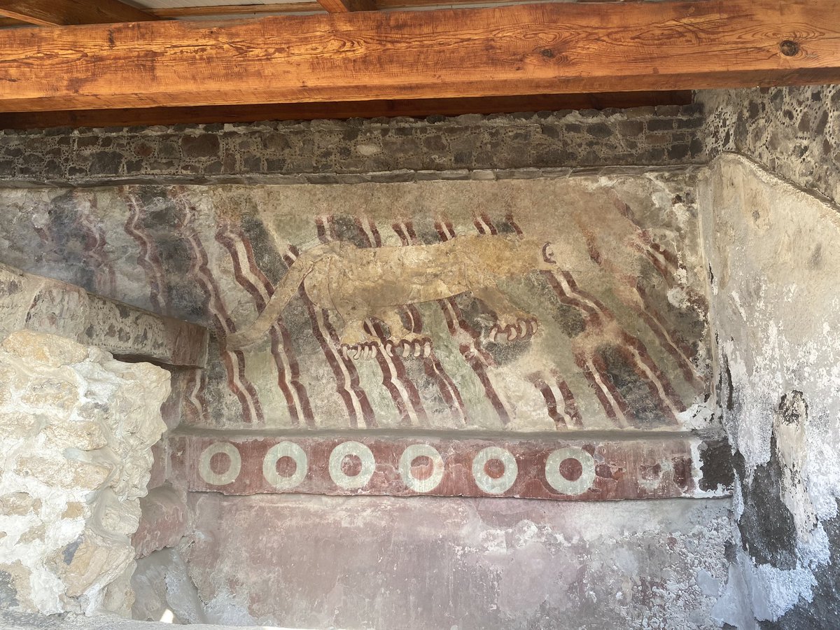 SMolinaVnzla's tweet photo. Preservar las pirámides del imperio Azteca en Teotihuacán representa la necesidad de proteger nuestras raíces prehispánicas. 

Este imperio fue claramente unos de los grandes corazones y contribuyentes de las Americas. 🇲🇽🌎

#piramidedelsol #piramidelaluna #Teotihuacan #Mexico #prehispanic #Azteca