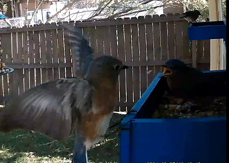 Qt's Game Quest tweet media