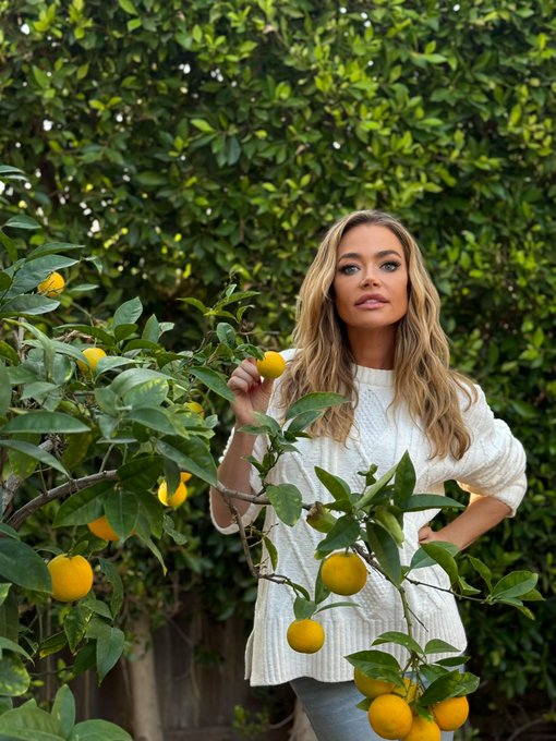 DENISE_RICHARDS