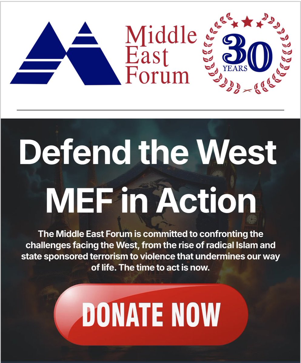 MEF Action tweet media