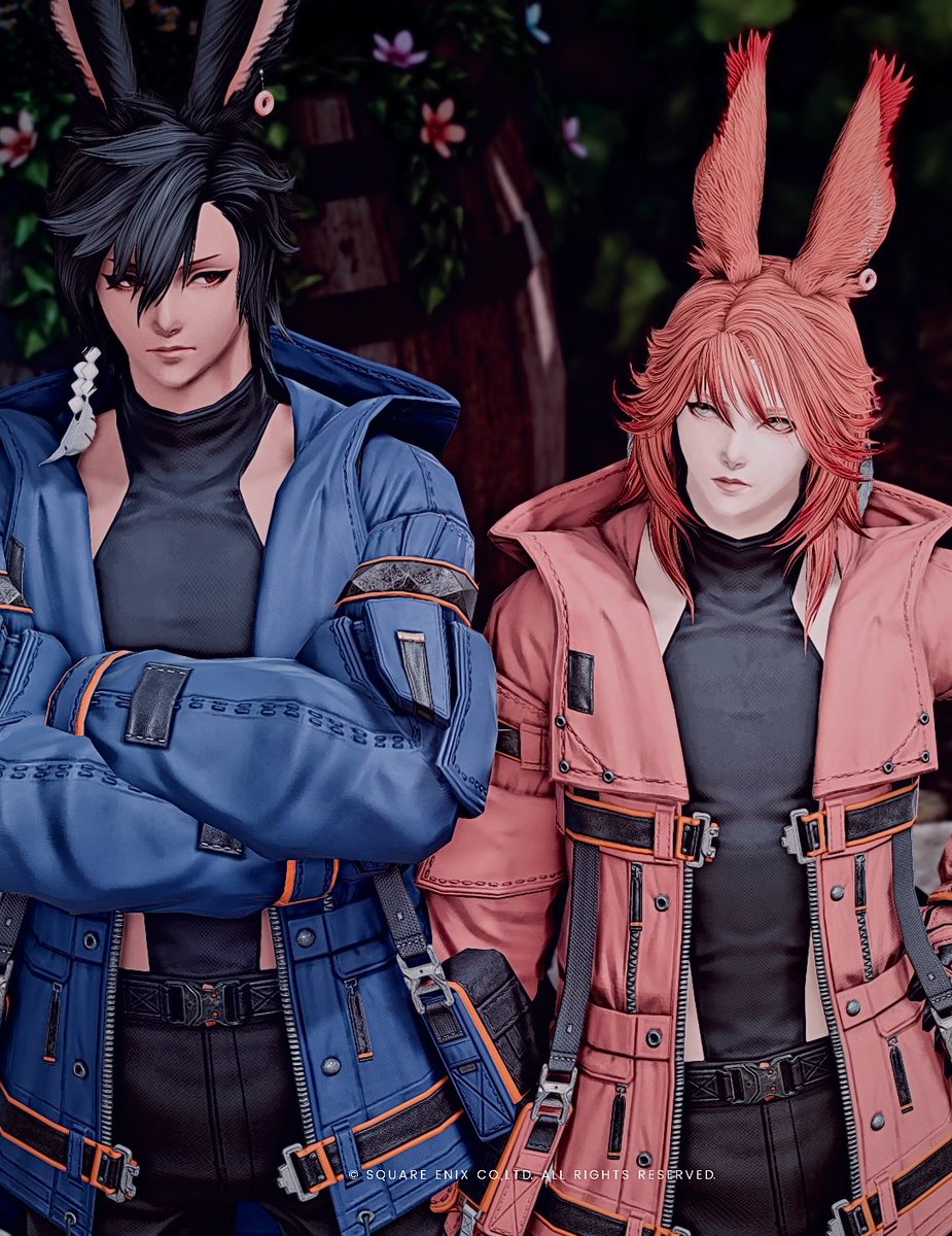 ビオン tweet media