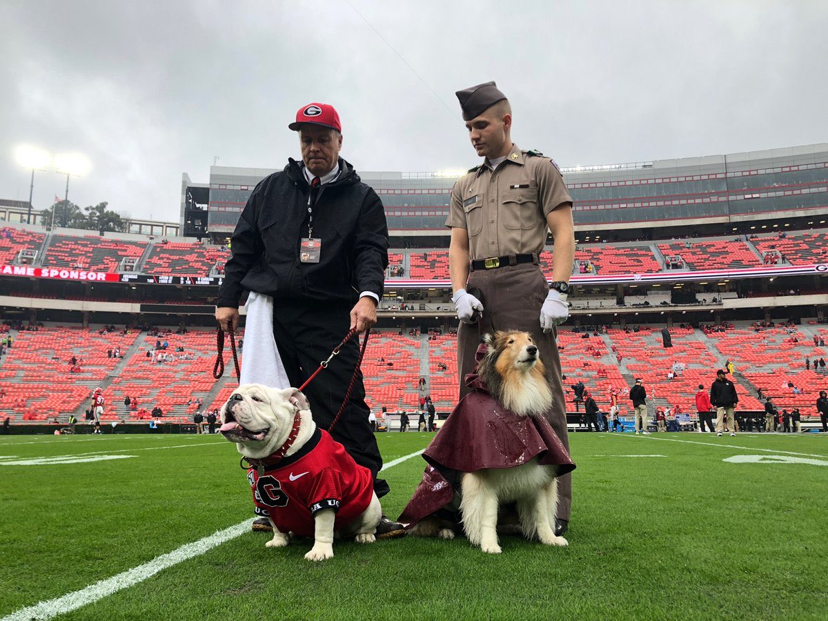 Rutsburgh's tweet photo. DAWGS stick together....#HornsDown https://t.co/3tUDn46GxW