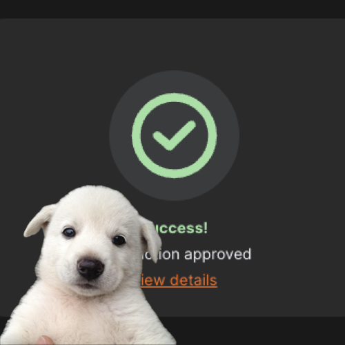 Baby Jing tweet media