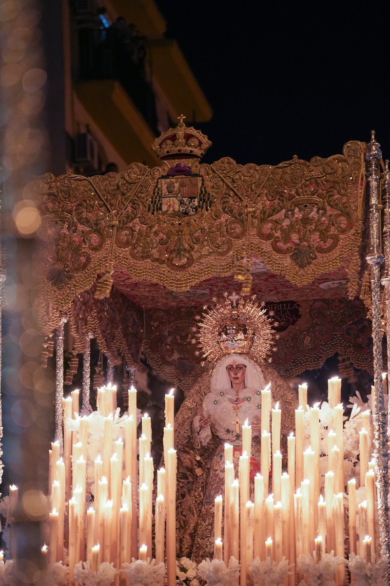 TQuifes's tweet photo. ¡Cuántas oraciones a su paso! 💚

#IICongresoHdadesSevilla https://t.co/7JMbvL3KmC