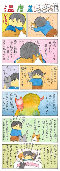距離│フェリシモ猫部 https://t.co/tGLeAIlqBc 