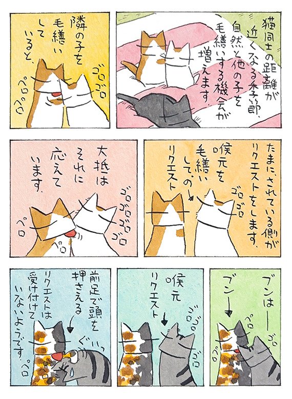 距離│フェリシモ猫部 https://t.co/tGLeAIlqBc 