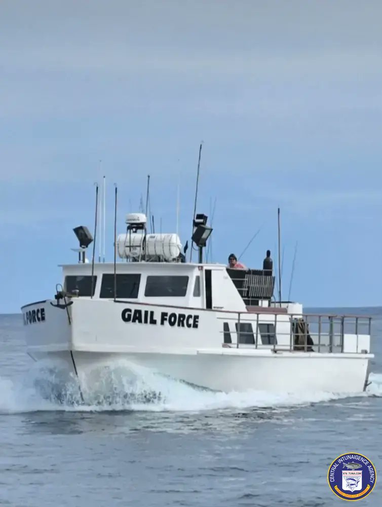 976tuna's tweet photo. Gail Force Lobster Wrap Up Report, Bugs are Crawing! Sat Dec 7, 2024 https://t.co/gi1AGkBUoE #gailforce #lawaterfrontsportfishing #fish #fishing #fishingtrip #oceanfishing #socalfishing #fishingtrip #goodtimes #livebait #saltlife #saltwater #tasty #thetugisthedrug https://t.co/0KMoL62Lzd