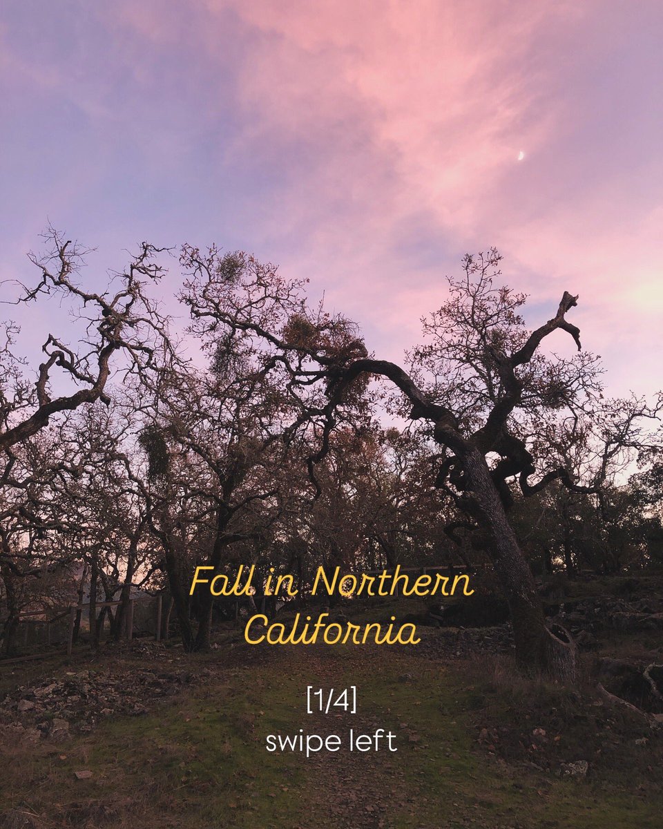 mounteencom's tweet photo. Love those December hikes in NorCal… https://t.co/PZbl94oEwd