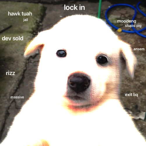 Baby Jing tweet media