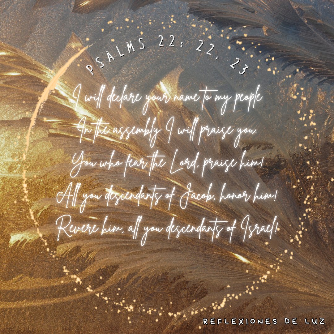RreflexionesLuz's tweet photo. I will declare your name to my people;
in the assembly I will praise you.
You who fear the Lord, praise him!
All you descendants of Jacob, honor him!
Revere him, all you descendants of Israel!

Psalms 22: 22, 23 (NIV)

#Bible #Verse #VerseOfTheDay #Jesus #JesusChrist #Faith https://t.co/EdnK4kdq5F