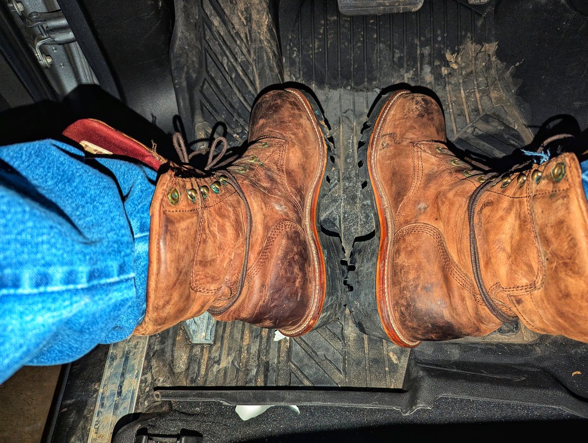 TOPbottomStud tweet media