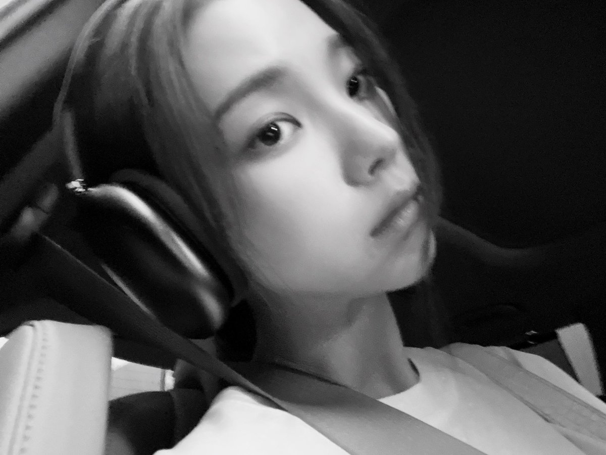 꿀 tweet media