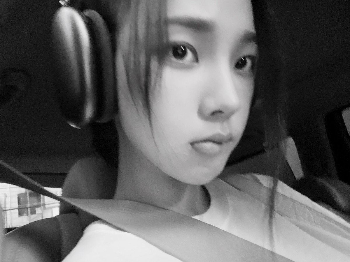 꿀 tweet media
