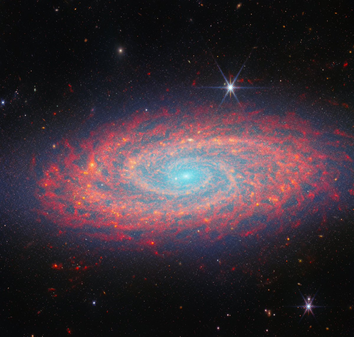 astro_jaz's tweet photo. jwst’s recent images 🌌 https://t.co/vxNm2omlwa