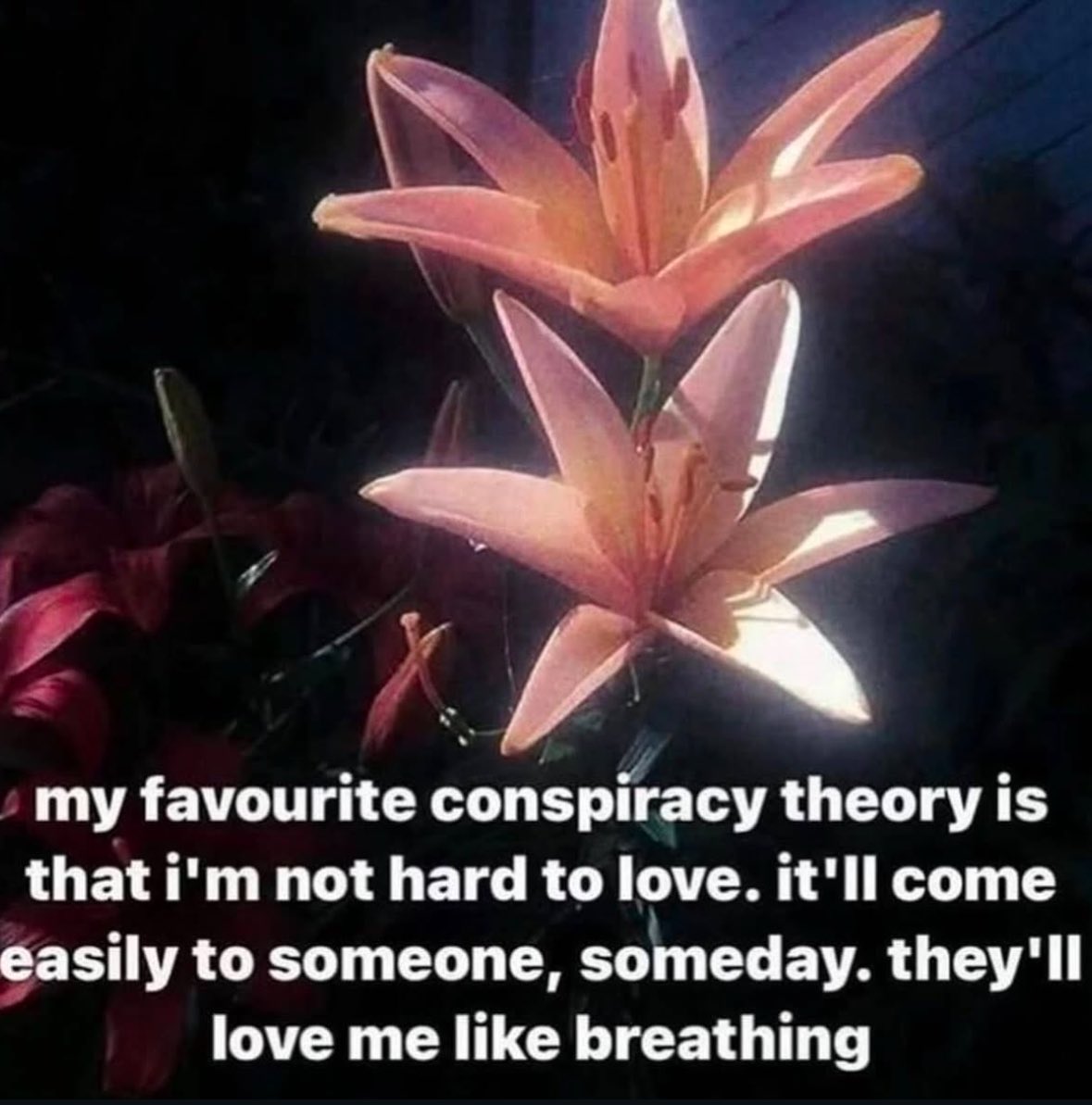 ✧ (@northstardoll) on Twitter photo 