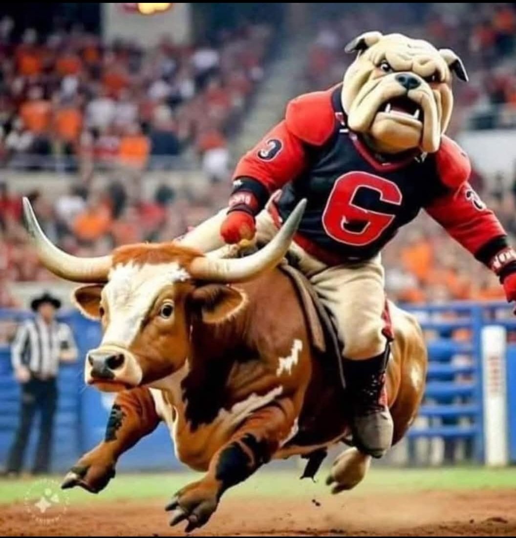 Jill Phillips tweet media