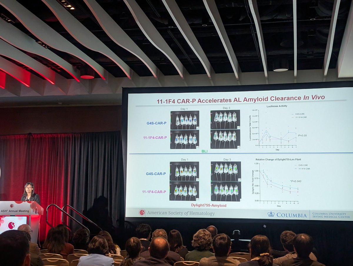 MSHughes_MD's tweet photo. @JingFu_PhD presenting fascinating data from the @SLentzsch and @BMT_updates Laboratories on the production and in vitro/in vivo performance of #ALamyloidosis targeted CAR-phagocytes!!! Game changing antifibril therapies in development @columbiacancer https://t.co/wFOWDb7dLO