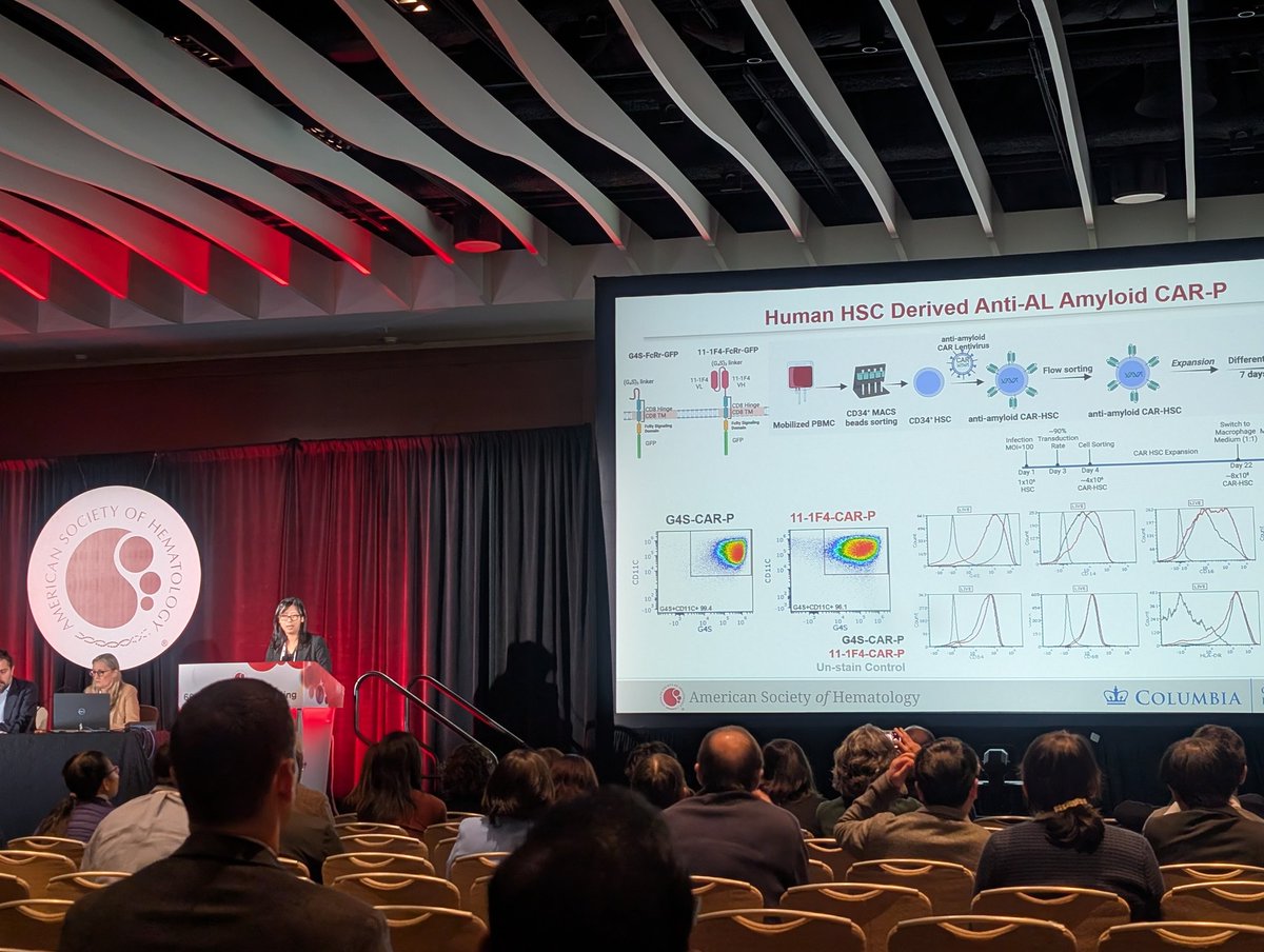 Michael Hughes (@mshughes_md) on Twitter photo <a href="/JingFu_PhD/">Jing Fu</a> presenting fascinating data from the <a href="/SLentzsch/">Suzanne Lentzsch, MD, PhD</a> and <a href="/BMT_updates/">Markus Y. Mapara 🇺🇦</a> Laboratories on the production and in vitro/in vivo performance of #ALamyloidosis targeted CAR-phagocytes!!! Game changing antifibril therapies in development <a href="/columbiacancer/">Herbert Irving Comprehensive Cancer Center</a> <a href="/JingFu_PhD/">Jing Fu</a> presenting fascinating data from the <a href="/SLentzsch/">Suzanne Lentzsch, MD, PhD</a> and <a href="/BMT_updates/">Markus Y. Mapara 🇺🇦</a> Laboratories on the production and in vitro/in vivo performance of #ALamyloidosis targeted CAR-phagocytes!!! Game changing antifibril therapies in development <a href="/columbiacancer/">Herbert Irving Comprehensive Cancer Center</a>