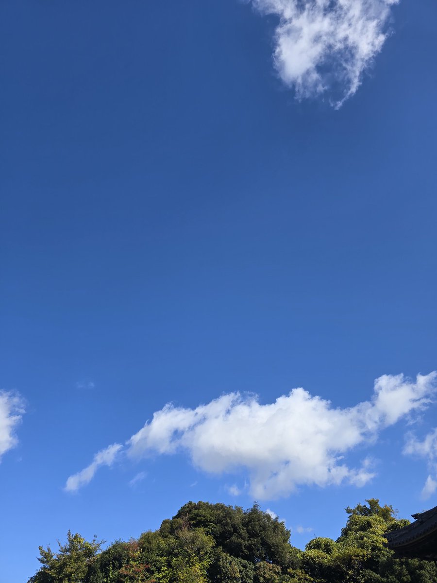 ラフィーネクチュール tweet media