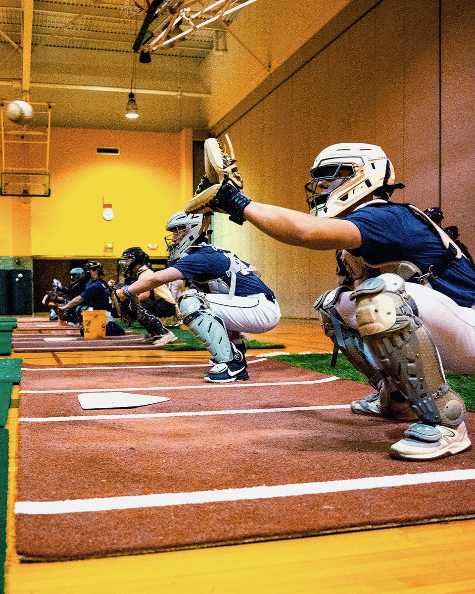 Wayne State Baseball tweet media