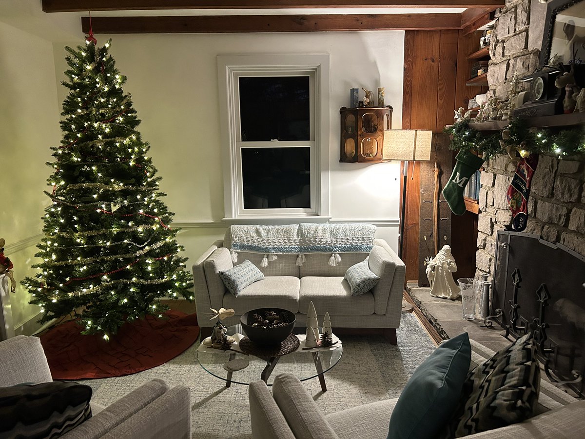 Phew! Finally got the house decorated!! Happy holidays everyone!!