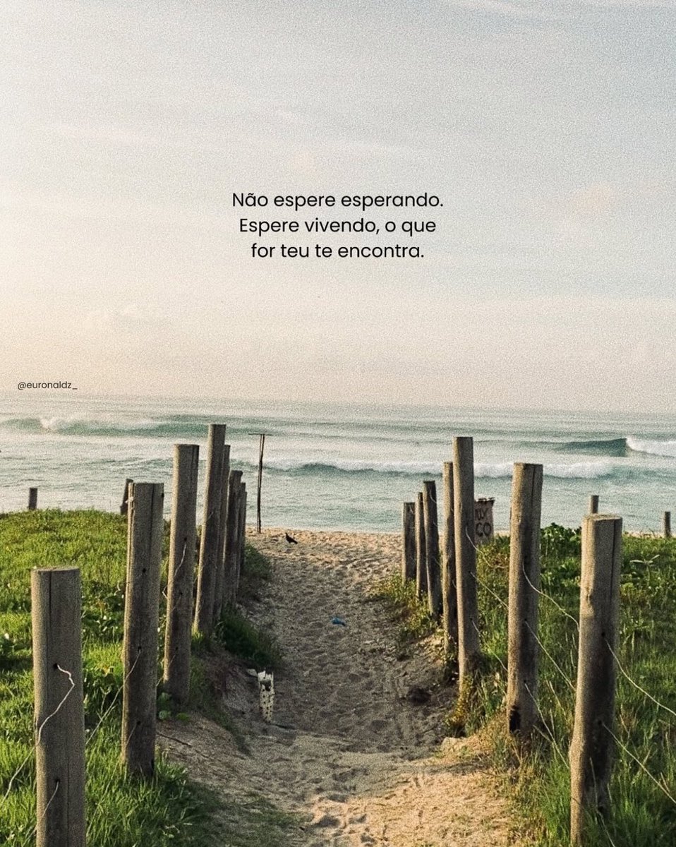 reescrevi_frase's tweet photo. https://t.co/lamVfNEwVB
