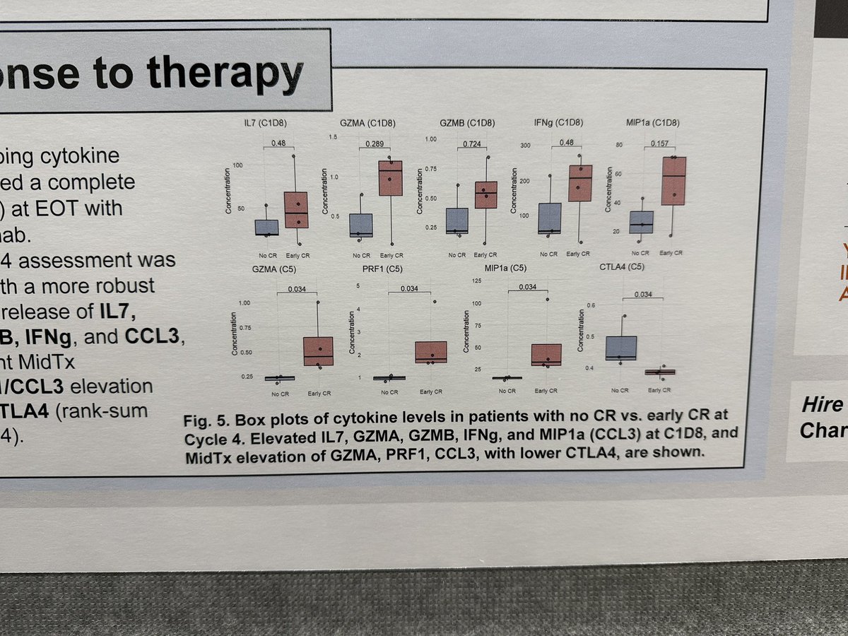 Vít Procházka 🇨🇿🇪🇺🇺🇦 tweet media