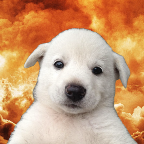 Baby Jing tweet media