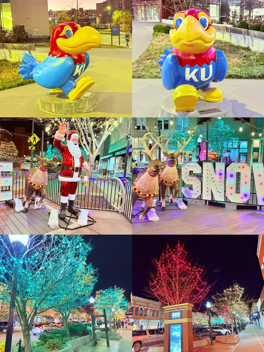 Lingjun Li tweet media