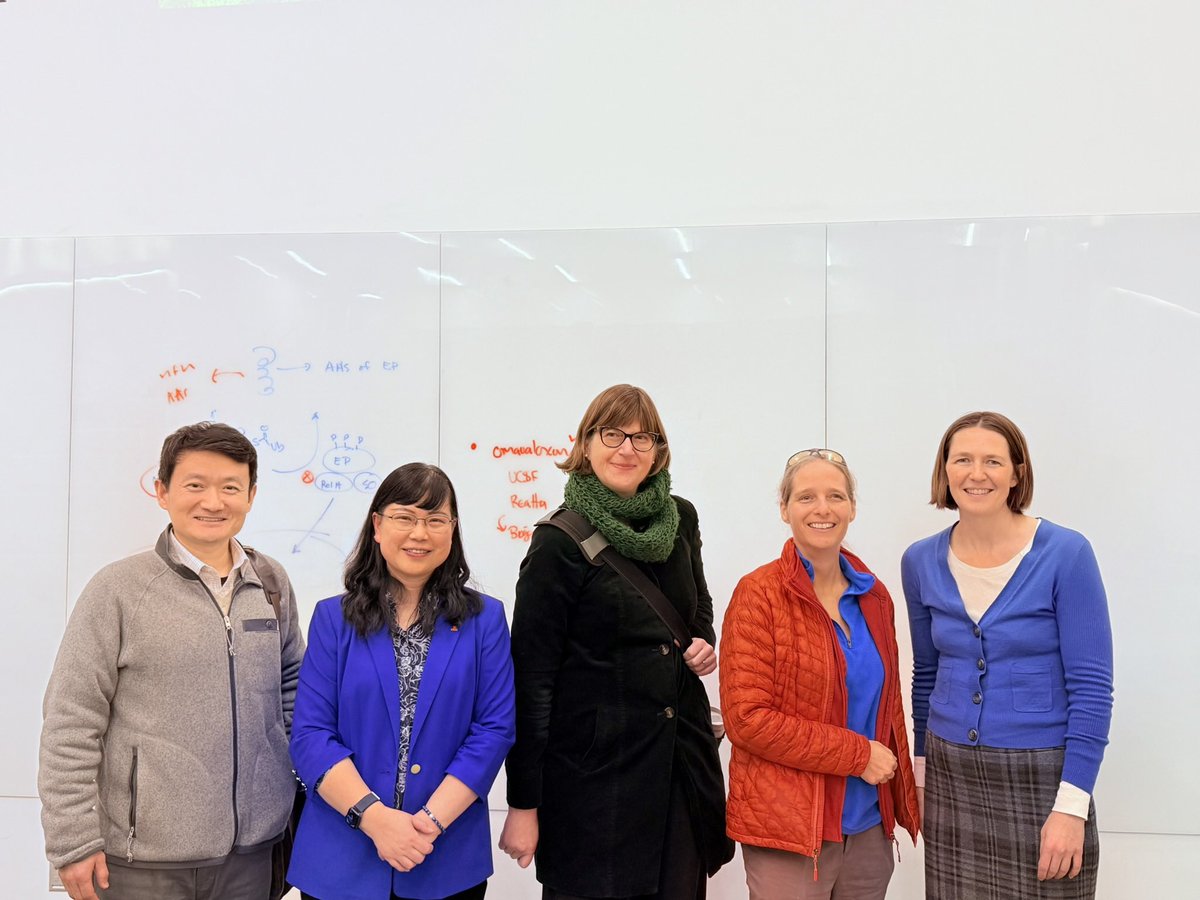 Lingjun Li tweet media