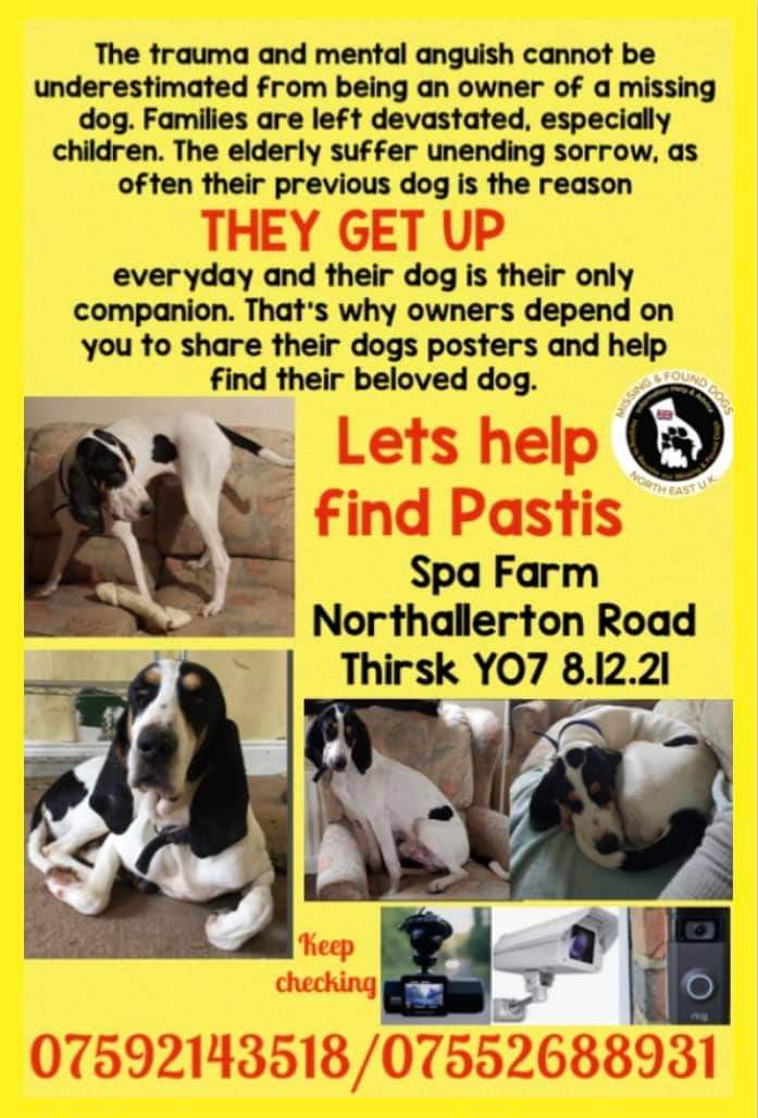 MissingPetsGB's tweet photo. How fast time goesπ
PASTIS now #MISSING 3 YEARS TODAY
He disappeared from his garden #Thirsk #YO7 in 2021
SUBSTANTIAL REWARD FOR SAFE RETURN
Pastis has a distraught family, desperate for information of their beloved boy. PLEASE if you have him let him go home to his family https://t.co/EB8LHemUwq