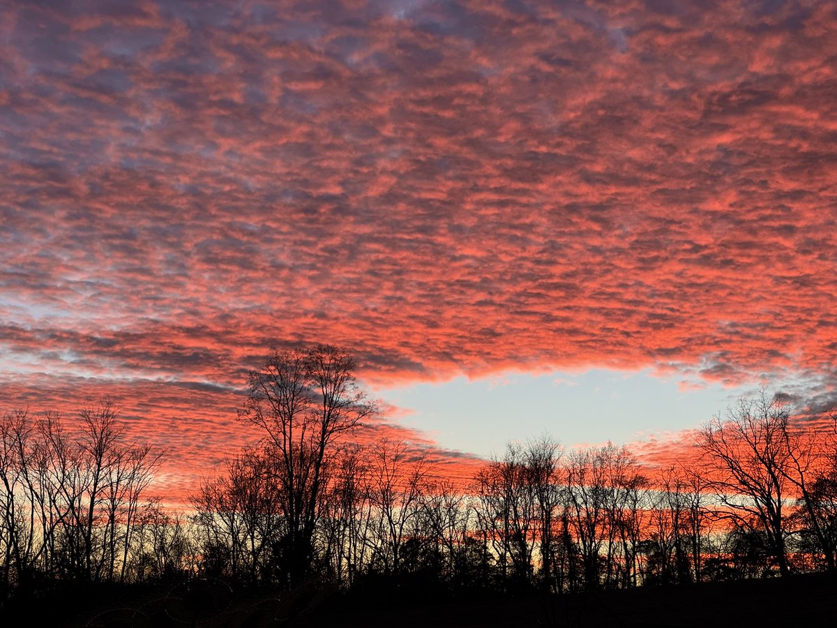 ryliev_v's tweet photo. sunset from the farm https://t.co/DffIXcQSoQ