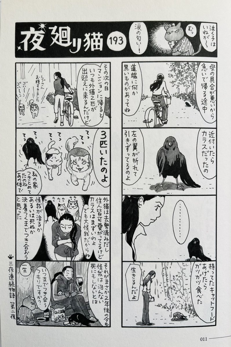 夜廻り猫 第193話翼の折れた烏(ヒダリ)

これは実話ですが
本当はこのカラス、翼が折れていただけでなく
胸に大穴が開いて血が流れていたそうです。(そこは漫画にした私が省きました)
生きているのが不思議な状態で
しづさんを追ってきたのです。 