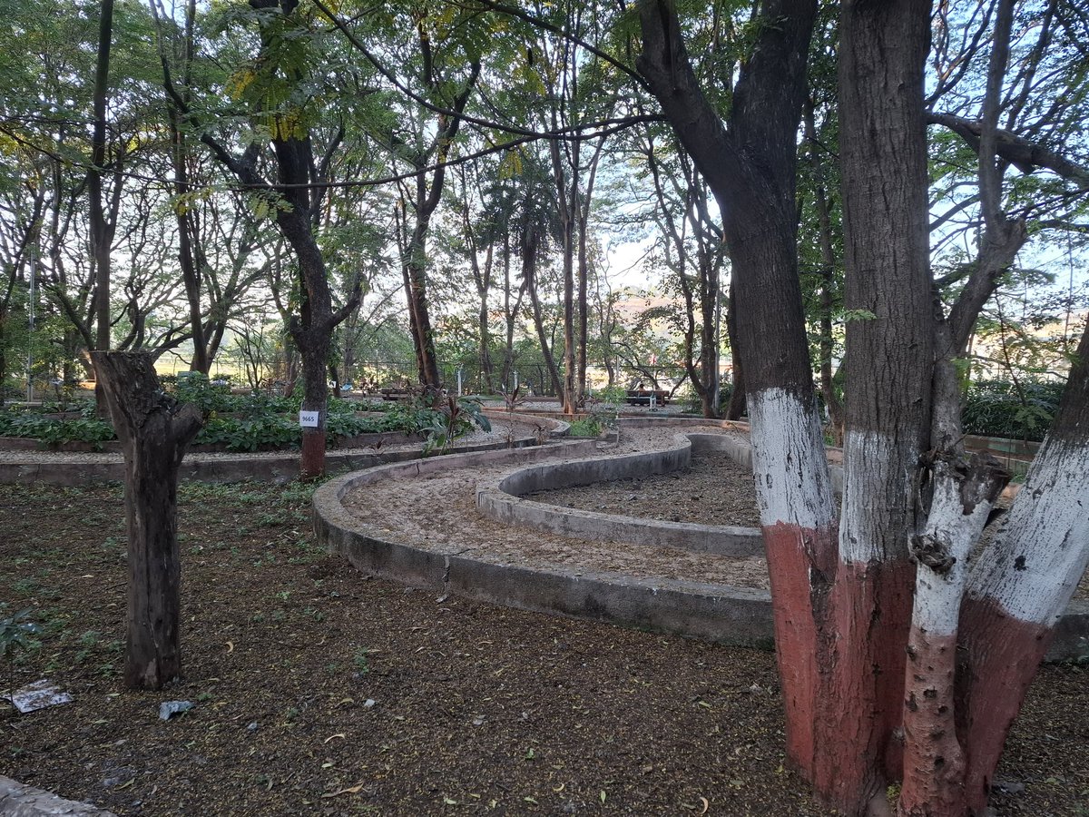 All these trees at Bund Garden are now counting their last days.
Every tree is numbered to go under slaughter to give way to a road along River Front.
Is this acceptable to Pune?
Bund Garden to Sahara Desert?
There is hardly any time left for us to protect this beautiful city.