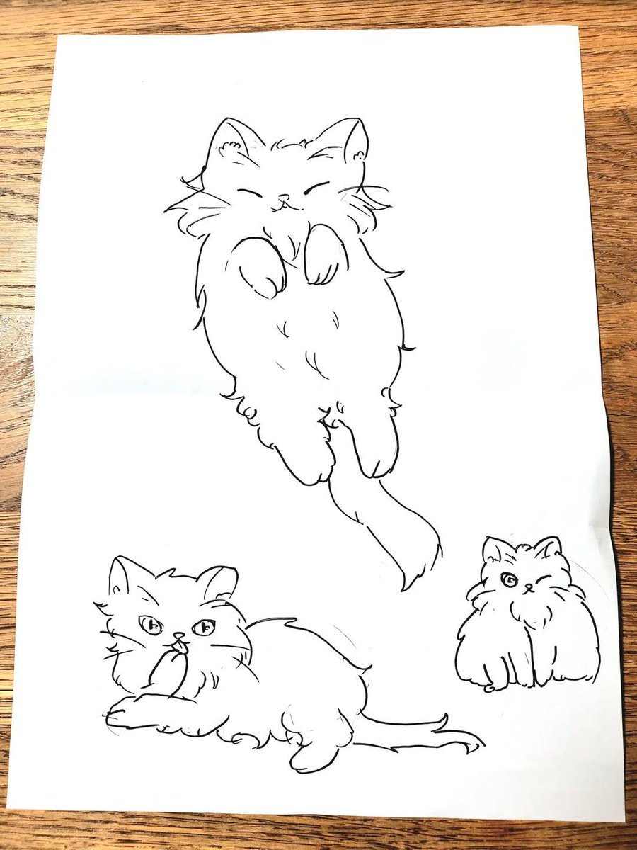 娘が描いてくれたもふたの絵に私が着色しました。母娘合作です💕