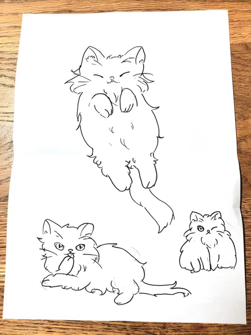 娘が描いてくれたもふたの絵に私が着色しました。母娘合作です💕
