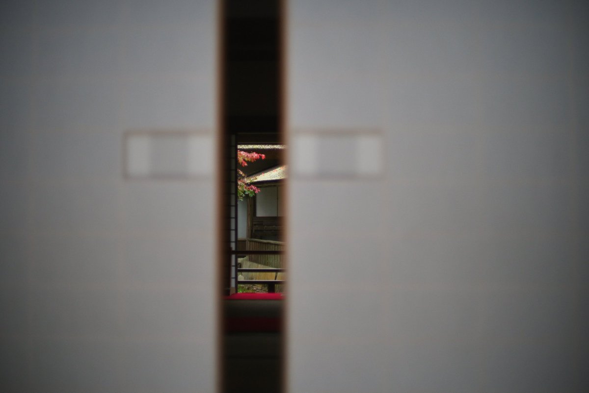 takcam2755's tweet photo. 隙間 https://t.co/uLABnL3RS3