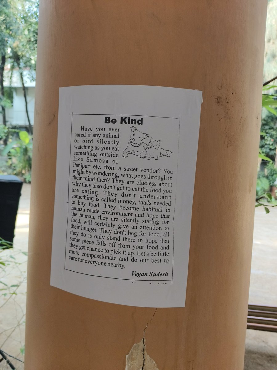 What goes through in their #mind?

🐕 🏡 veganmumbai.org

#veganmumbai #veganmumbaifoundation #helevier #AnimalLovers #AnimalPsychology #NotreDameDeParis #vegansudesh