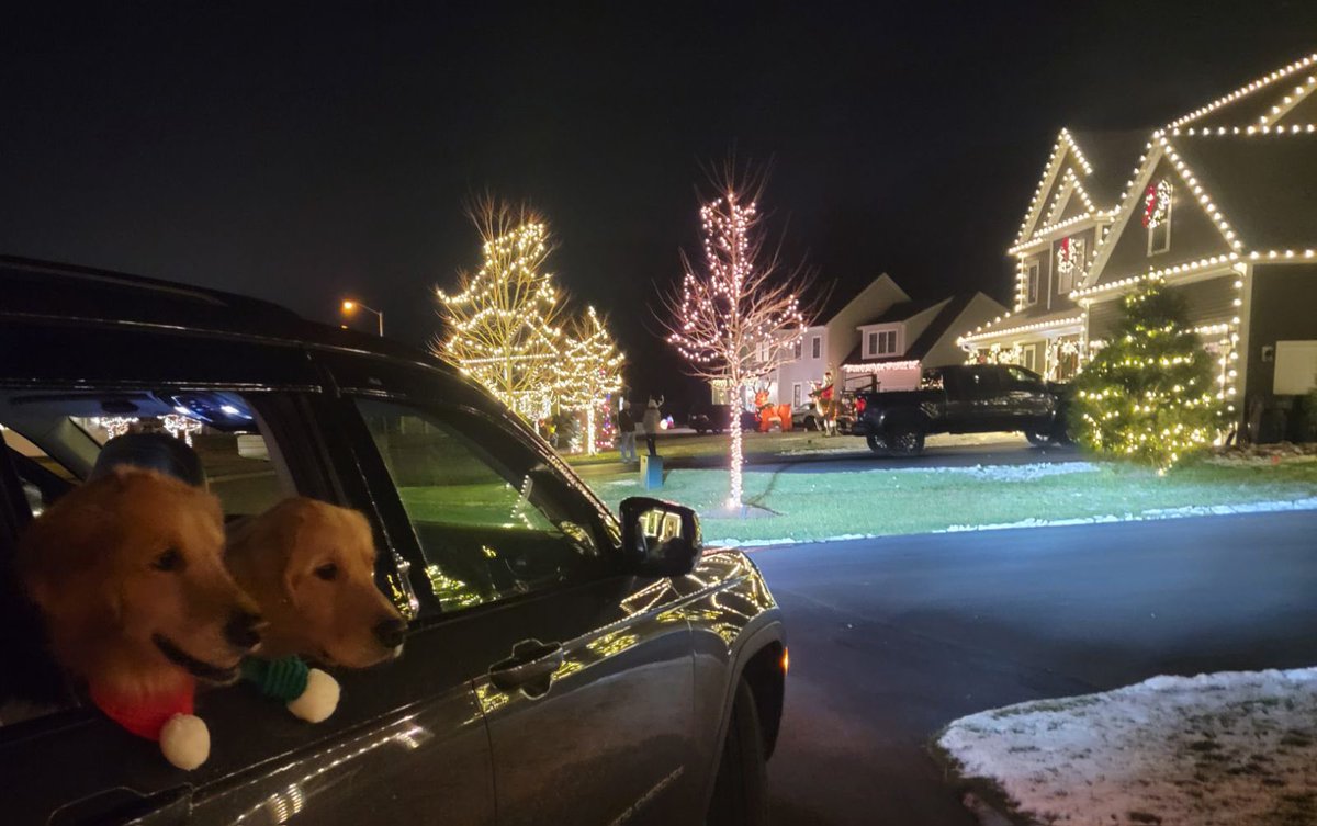 Don’t actually know if there’s a better pic of my dogs seeing christmas lights #lights #Christmas