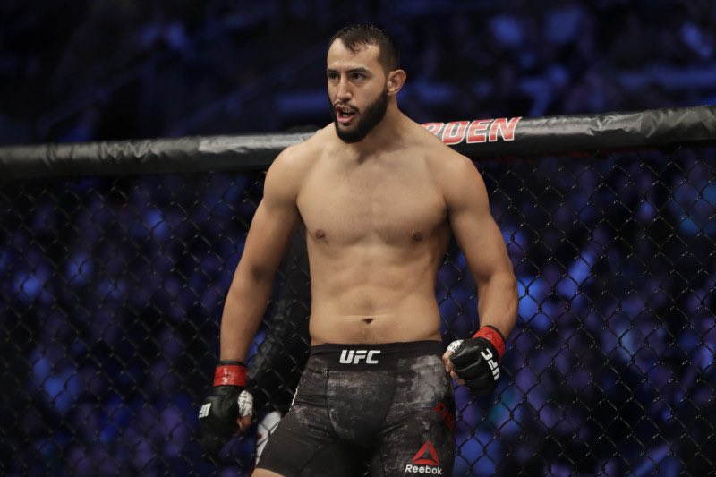 PicksWithEnergy's tweet photo. 7th play for #UFC310 ๐ฅ
Dominick Reyes by KO/TKO/DQ or Submission (-150)
Reyes To Win & Round 2 To Start (-125)
#UFC310 #PantojaAsakura #UFC #UFCLocks #UFCPlays #UFCPicks https://t.co/nAu7dk4Ala