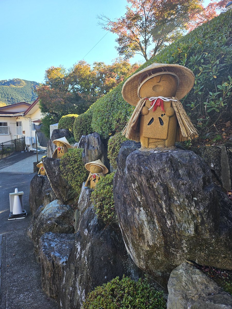 designer_king's tweet photo. 紅葉がめちゃ綺麗。🍁 https://t.co/1NlBPzdChV