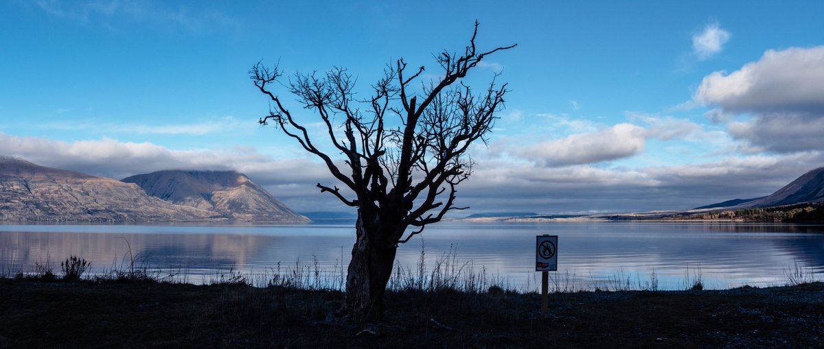 Light No Fires

Under a soft, golden sunset, the tranquil waters of Lake Ohau mirror the vastness of the impressive surrounding ranges.

#Kiwi #Travel #sunset #nature
