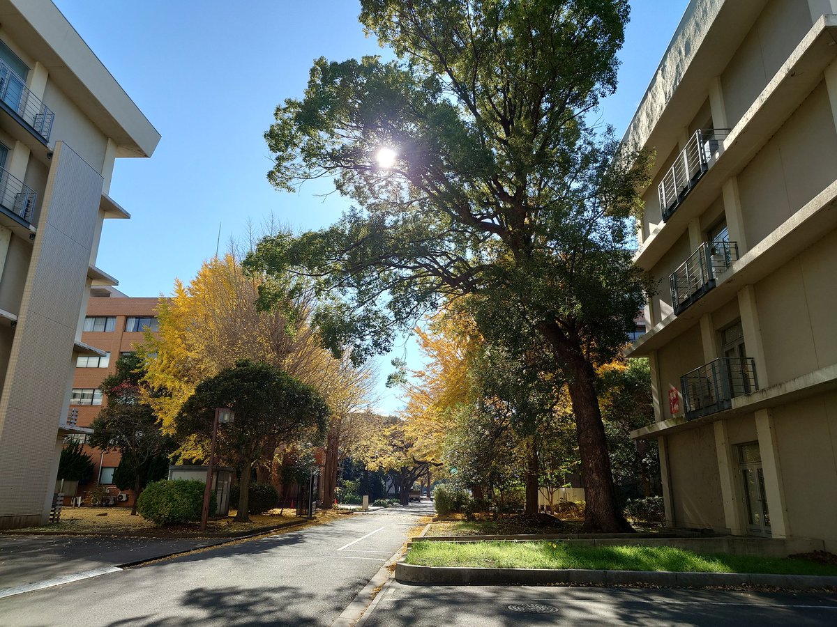 cpp2024_12's tweet image. 本日の #千葉大学 です。
ワークショップ、始まりました！
300を超えるみなさんにお集りいただきました。
WS、学術集会ご参加の皆様は書籍の割引販売あります。大阪から新元社さんがいらっしゃっています！マイページ「書籍割引販売」からも購入できます